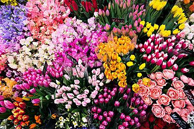 传闻：任天堂可能有两款马里奥游戏正在开发中